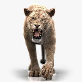 Lioness (3) (FUR) (ANIMATED) 3D model